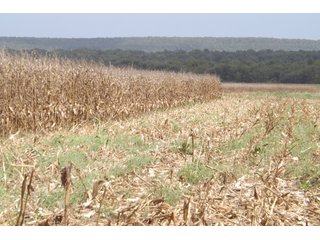 Property photo 34 - REAL ESTATE AUCTION - 1,000+/- ACRES OFFERED IN 10 TRACTS IN PITTSBURG CO., OKLAHOMA